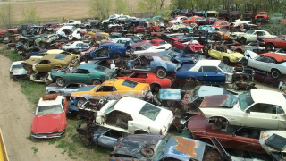 Illustration for article titled Is This The World's Largest Vintage Mustang Junkyard?